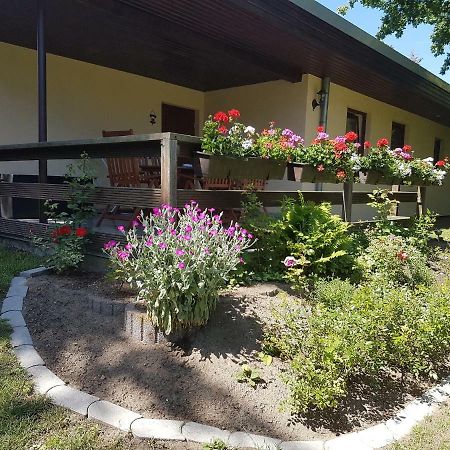 Ferienwohnanlage "Am Bernsteinsee" Apartment Dierhagen Bagian luar foto
