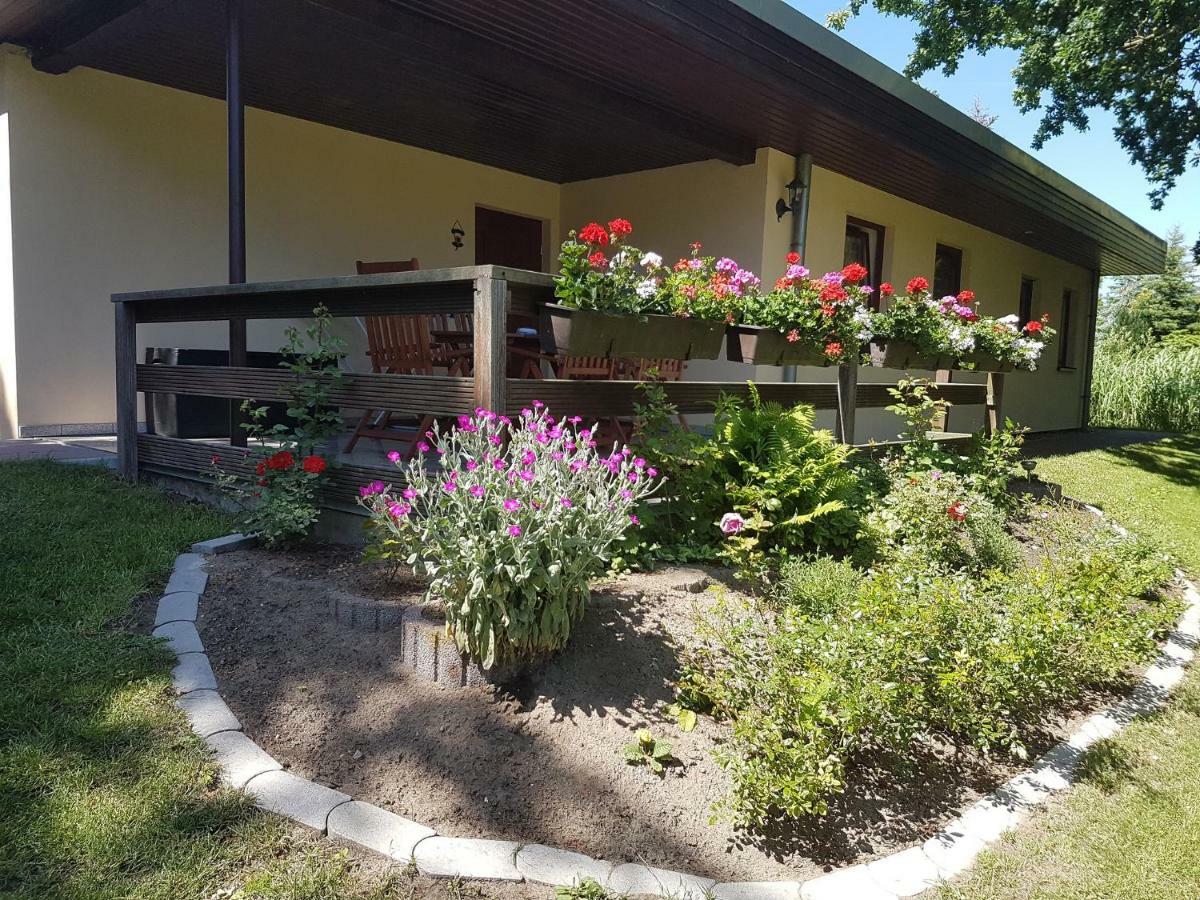 Ferienwohnanlage "Am Bernsteinsee" Apartment Dierhagen Bagian luar foto